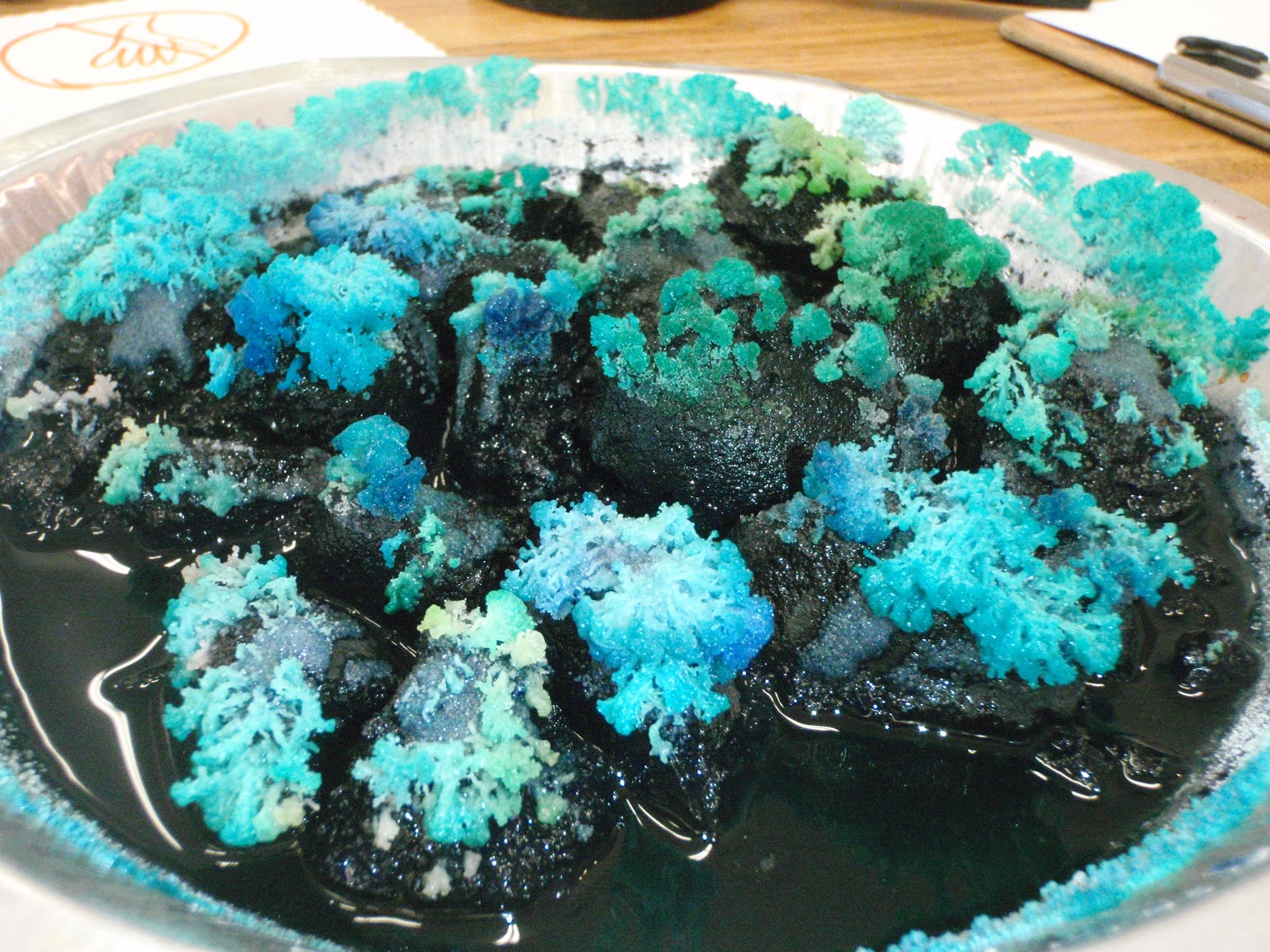 KAMP KIDSPACE The Crystal Garden