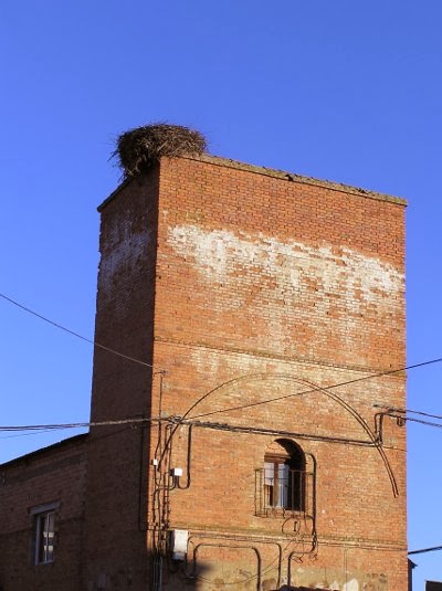 09.-P1010037+-+Manganeses+Polvorosa+-.JP