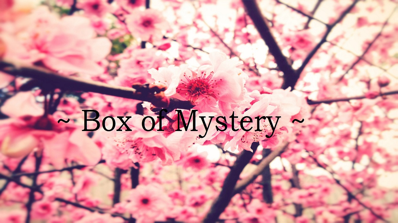 ~Box of mystery~