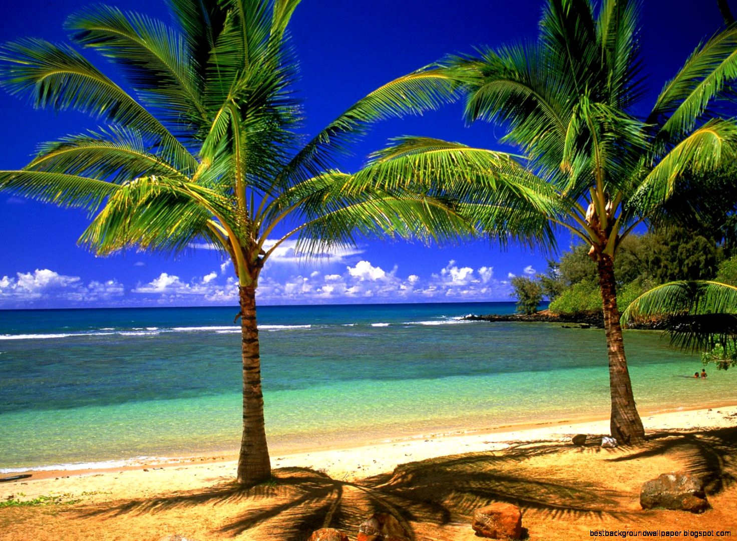 Tropical Beach Tropical Beach