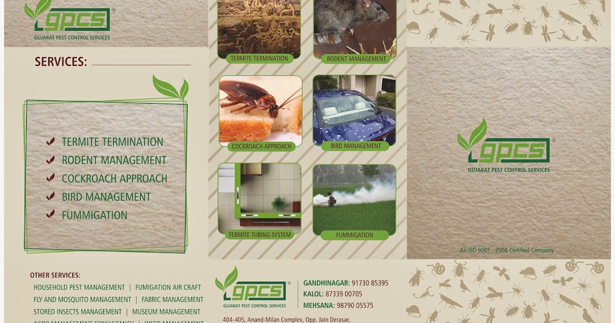 SNEHAL BHAVSAR Gujarat Pest Control Services 07926402648