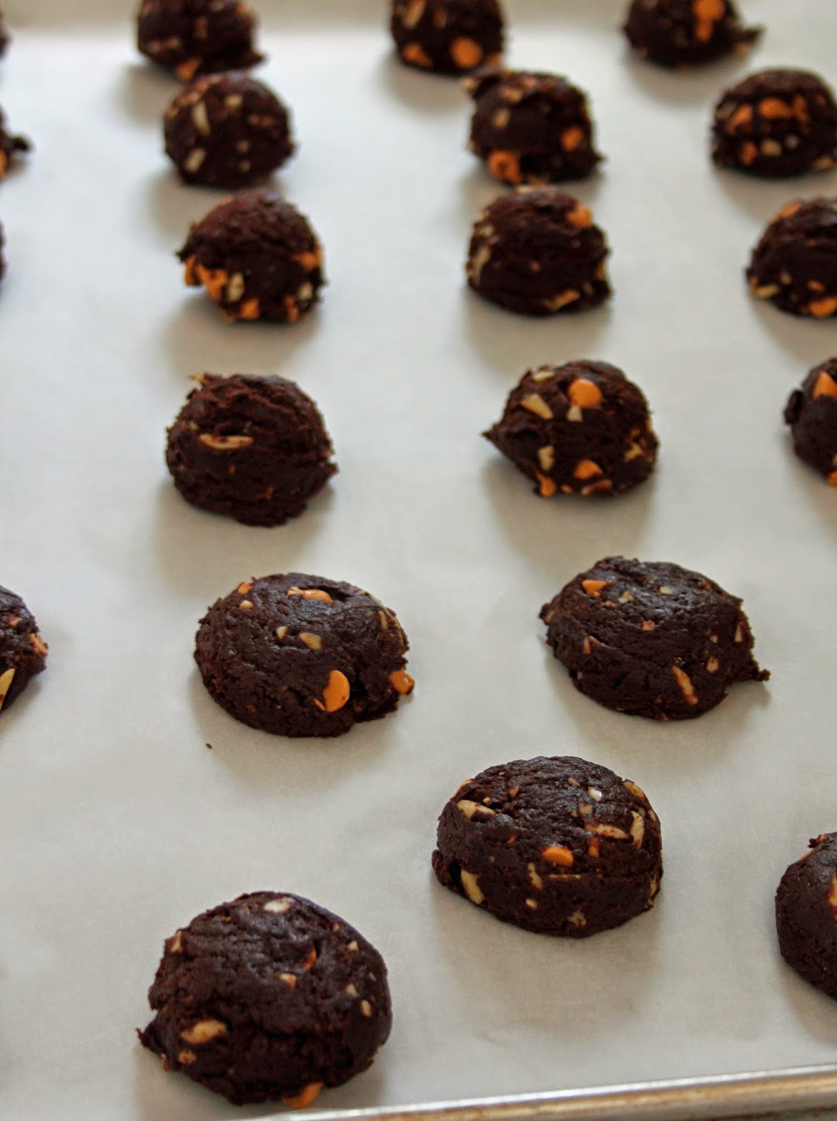 Jo and Sue Chocolate Avocado Almond Butterscotch Cookies