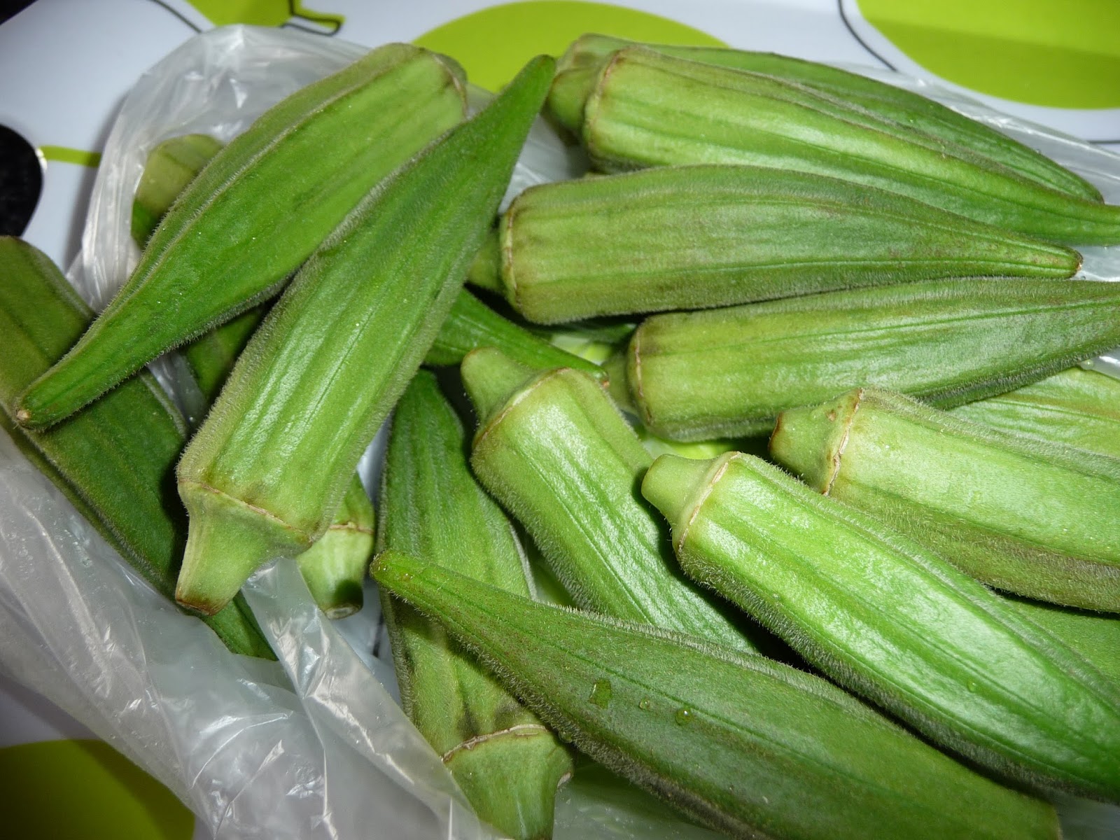 Okra Viaja en mi Cocina