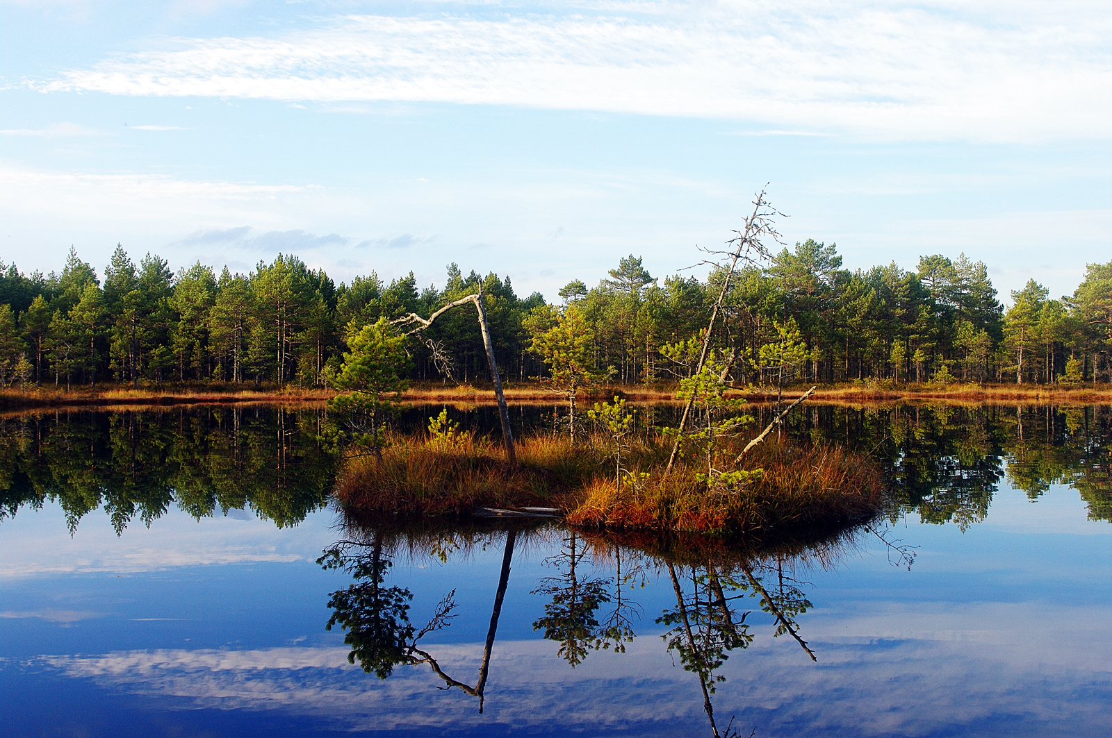 Selisoo matkarada Ida-Virumaa Kalev Vask Eesti loodus Estonian Estonia nature photography bog swamp