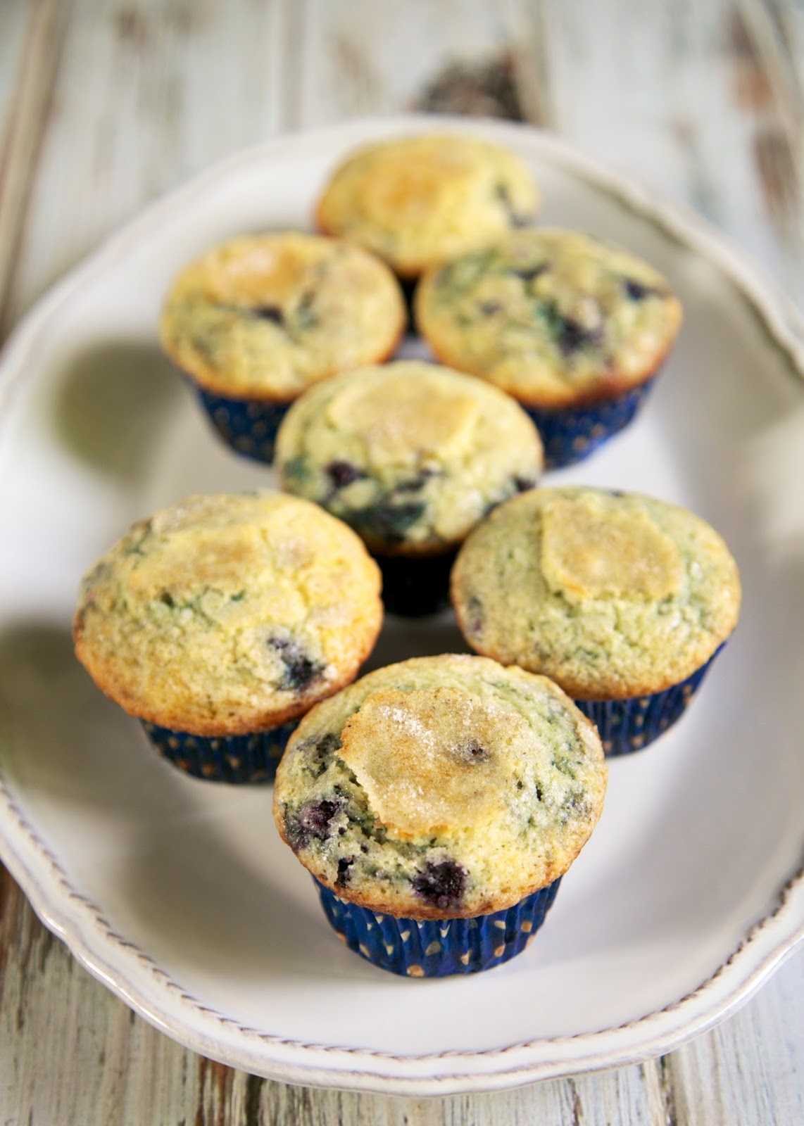 Blueberry Muffins Plain Chicken