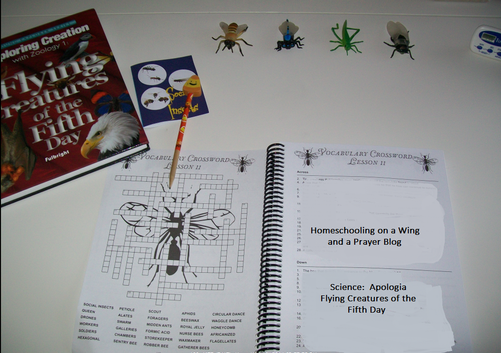 Homeschooling on a Wing and a Prayer