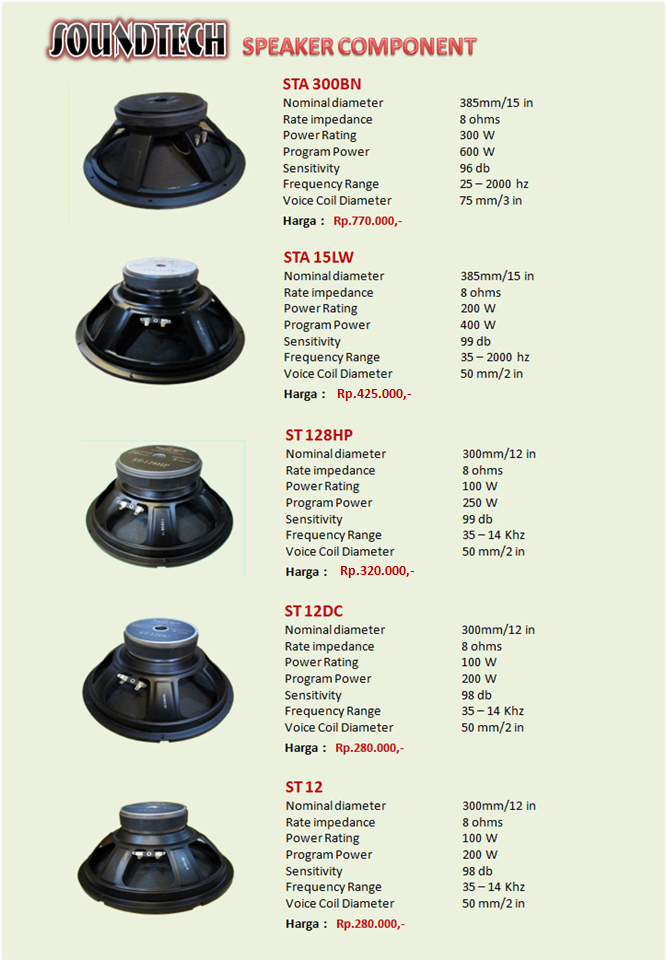 speaker soundtech 18 inch