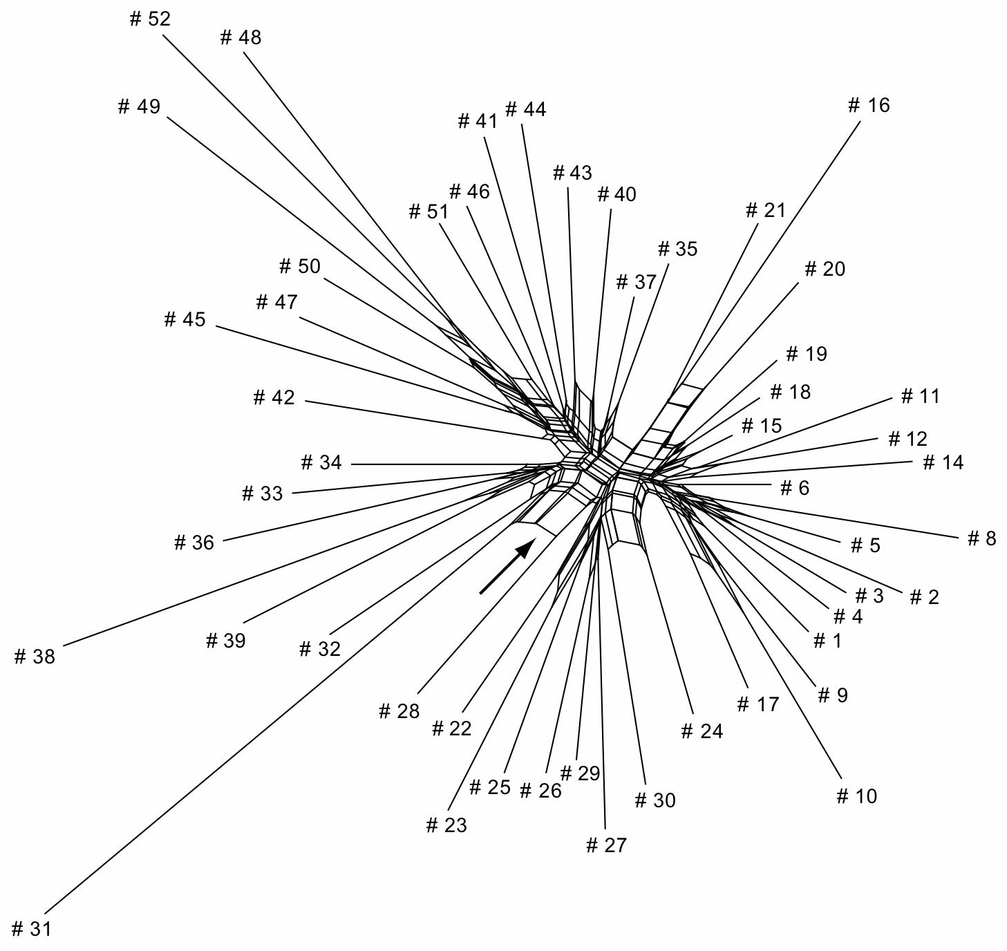 Incomplete Lineage Sorting