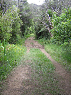 Slip Track