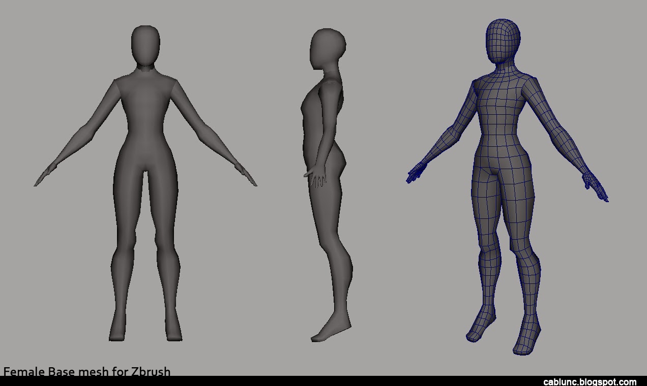 base+mesh_01.jpg