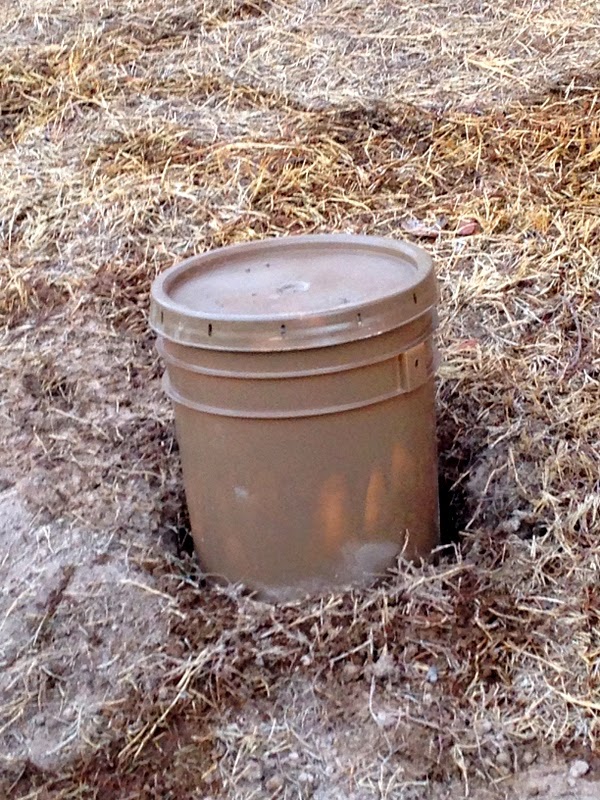 Xtremehorticulture of the Desert: Use Five Gallon Buckets in Place of Drip  Irrigation