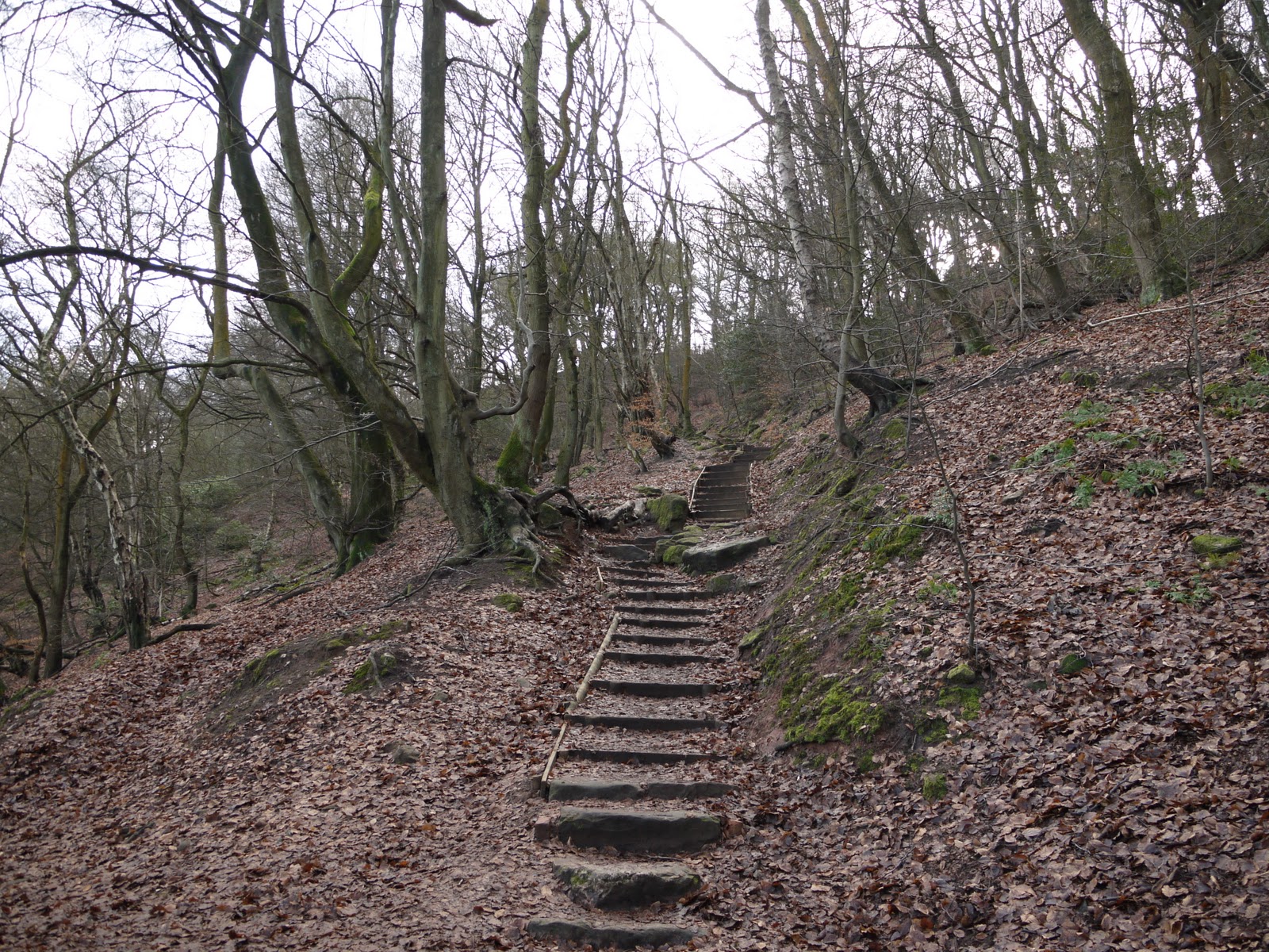 Walking in the country Alderley Edge
