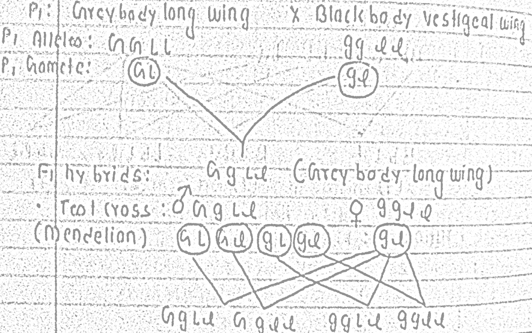 Standard Note LINKAGE