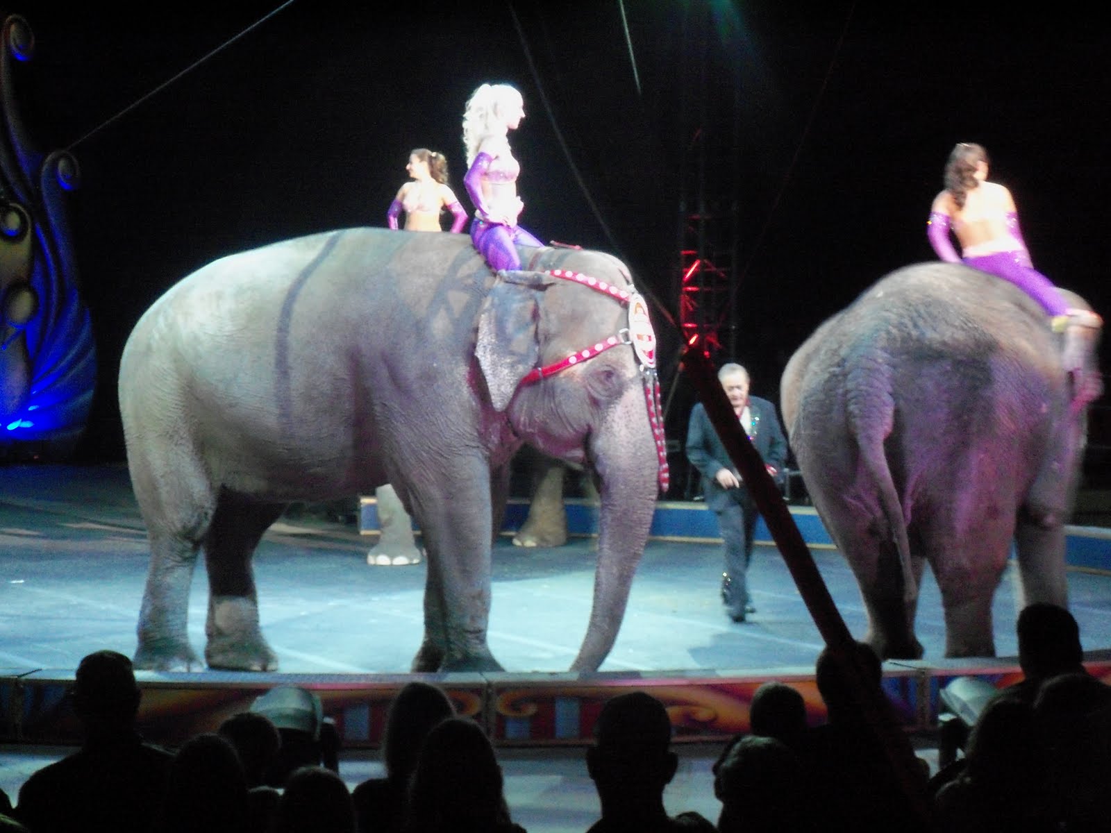 The Turner Family Zing, Zang, Zoom! (The Barnum & Bailey circus comes