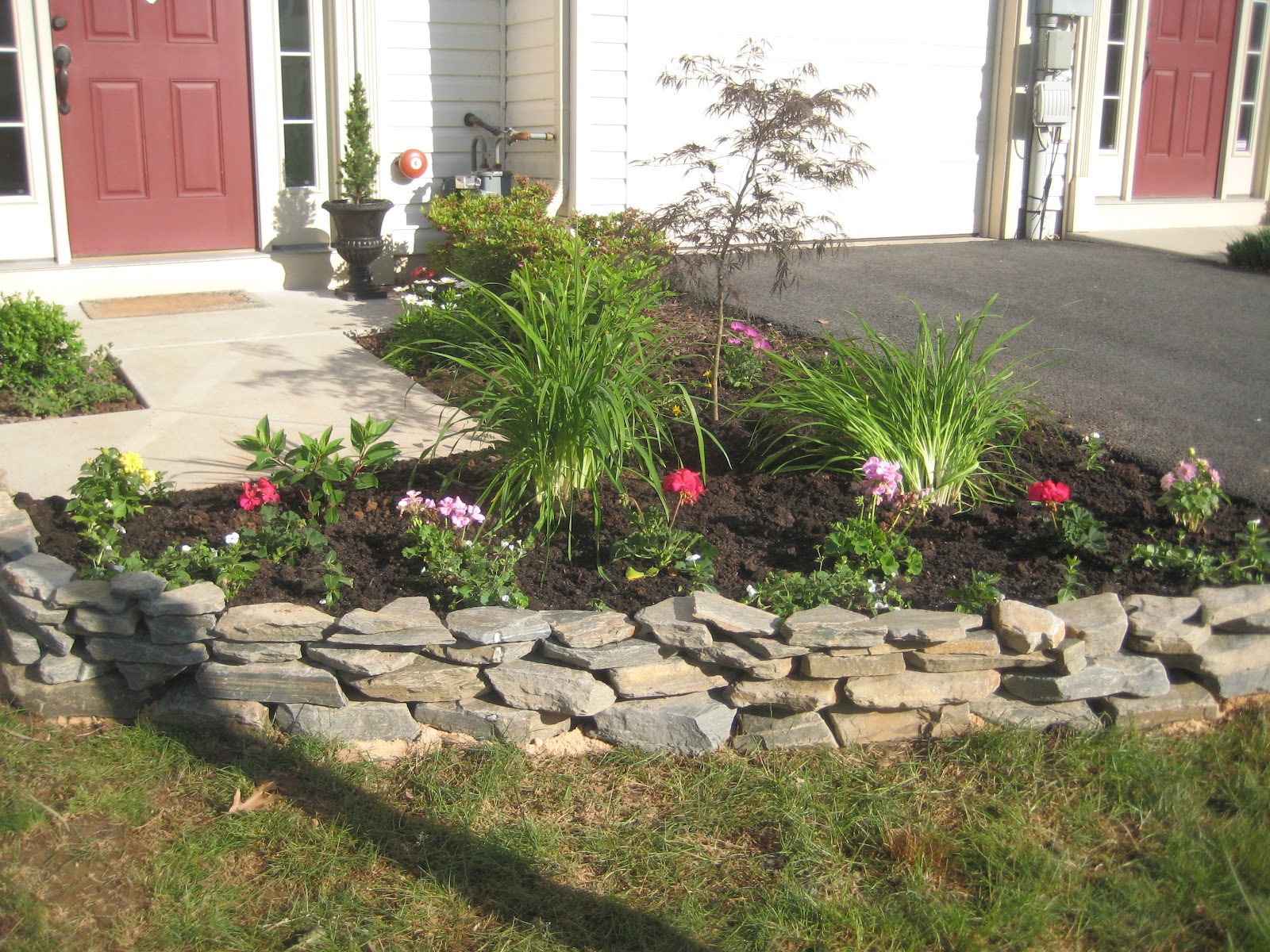 A Comfy Little Place of My Own: Front Yard Gardening