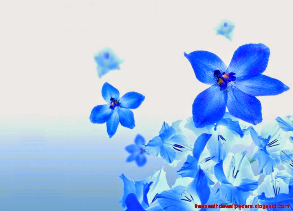 Pretty Desktop Wallpapers 1548 Items Page 25 of 65 Pretty Desktop Wallpapers 1548 Items Page 25 of 65