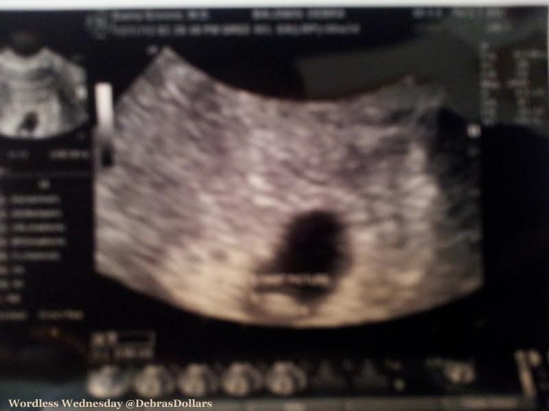 Debras Dollars It Just Makes Cents! Wordless Wednesday 12/19