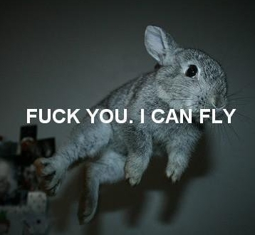 Yo puedo volar.