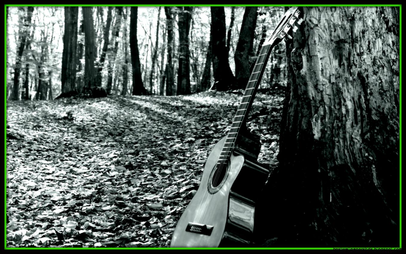 forrestguitar wallpaper 1440x forrestguitar wallpaper 1440x