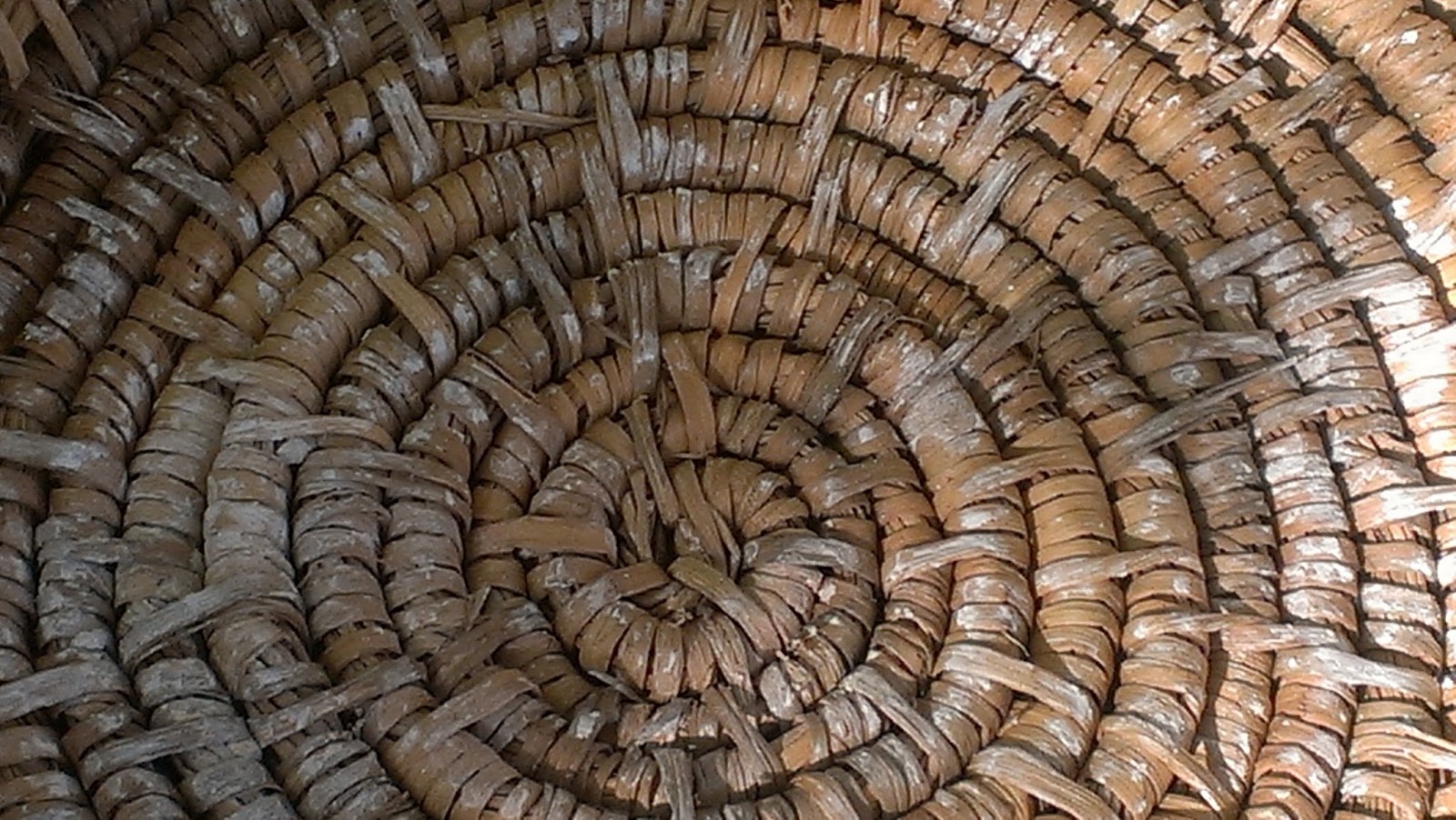 Glut a year in my patch Weaving the reeds