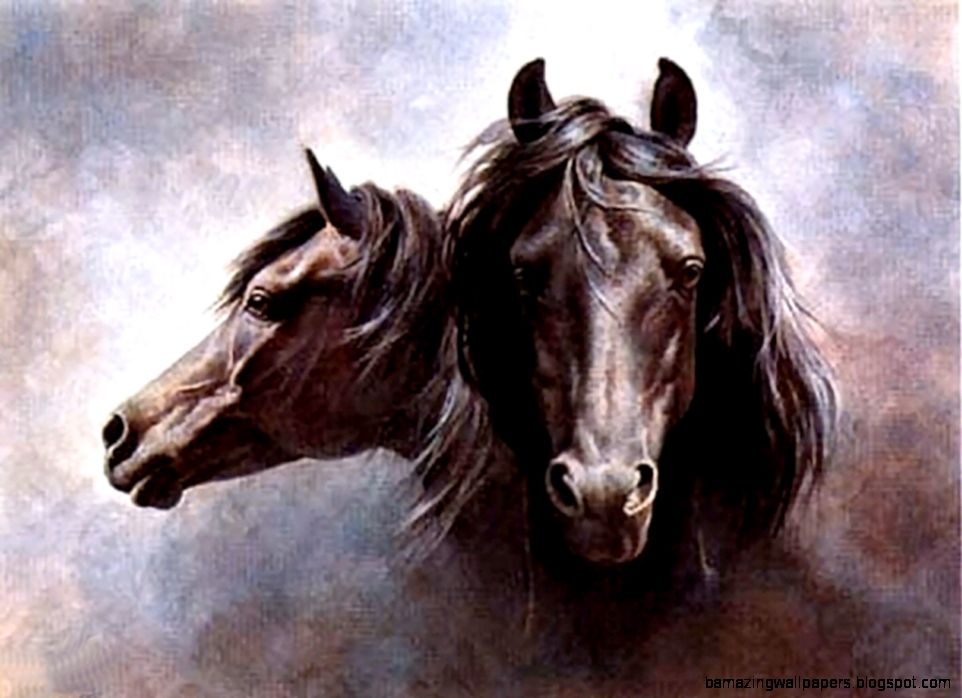 1024x768 Black Stallion Horse Wallpaper Download 1024x768 Black Stallion Horse Wallpaper Download