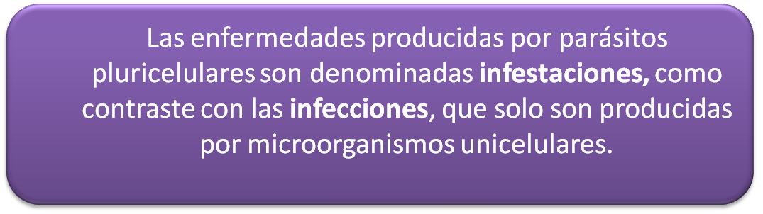 Si viven en las ostras los parásitos