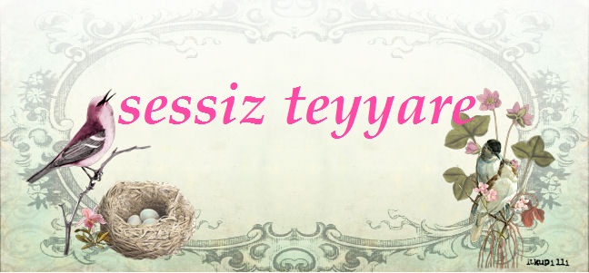 sessiz teyyare