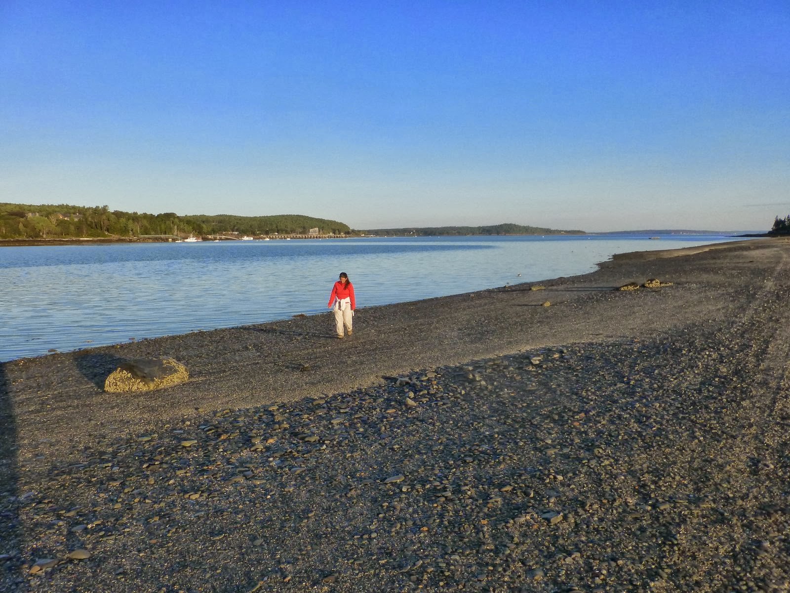 Off on Adventure Kayaking Bartlett Narrows & Seal Cove Acadia