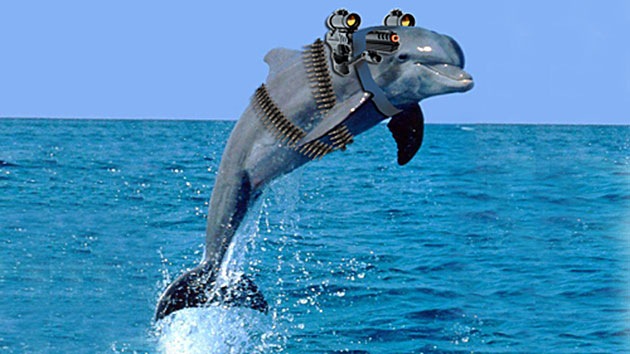 Dolphin+armed.jpg