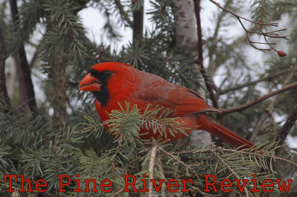 The Pine River Review