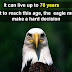 Eagles: Bald eagles transform their lives at 40! - Fact or Fiction