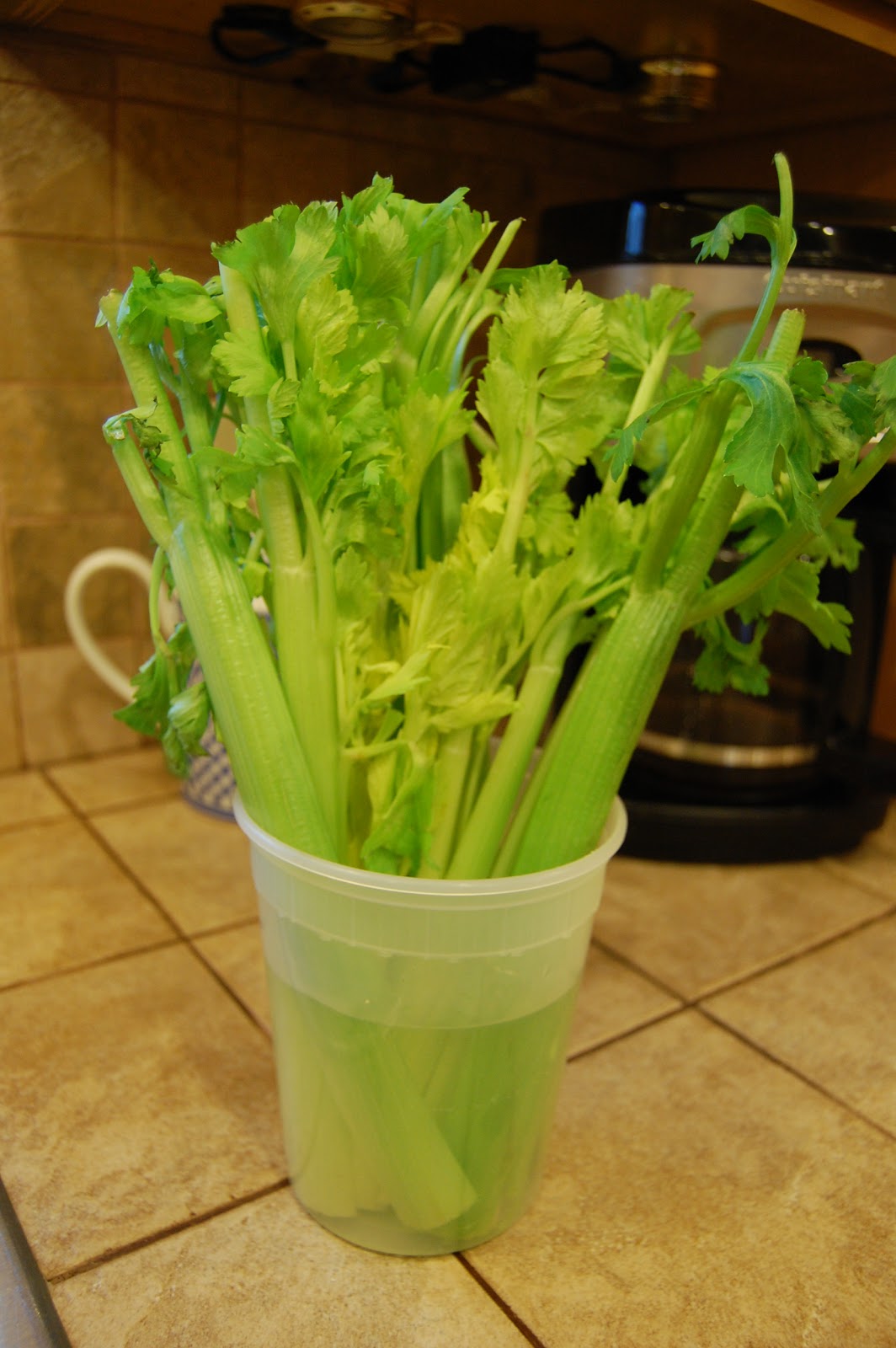 Sweet Tea with Splenda Turgor Pressure