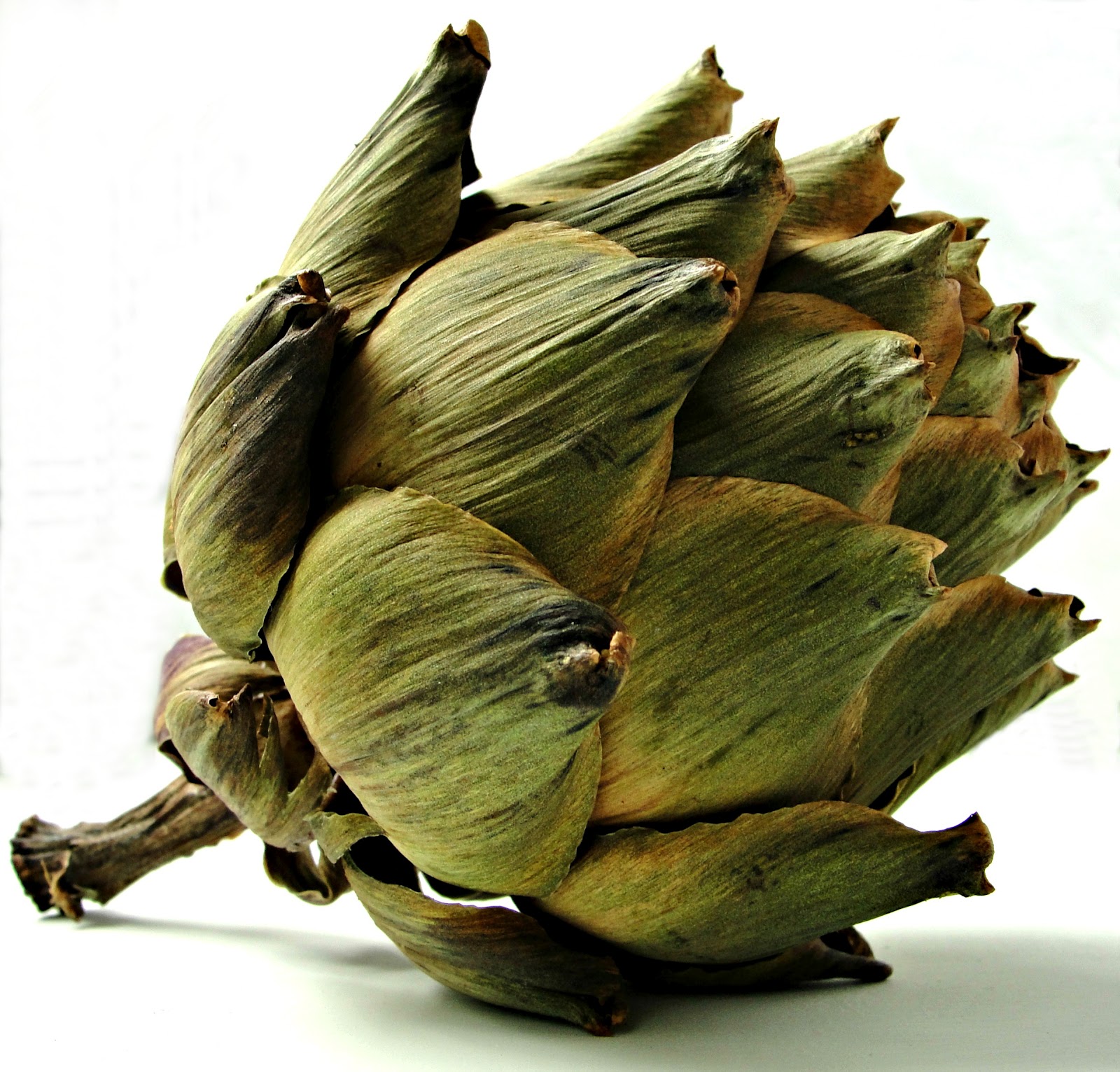 Putting Down Roots DIY Dried Artichokes