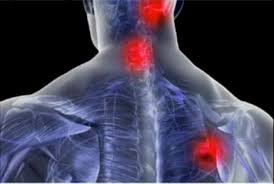 Clínica Massoterapia, Quiropraxia, Massagem Terapêutica em São José (SC) Clínica Massoterapia, Quiropraxia, Massagem Terapêutica em São José (SC)