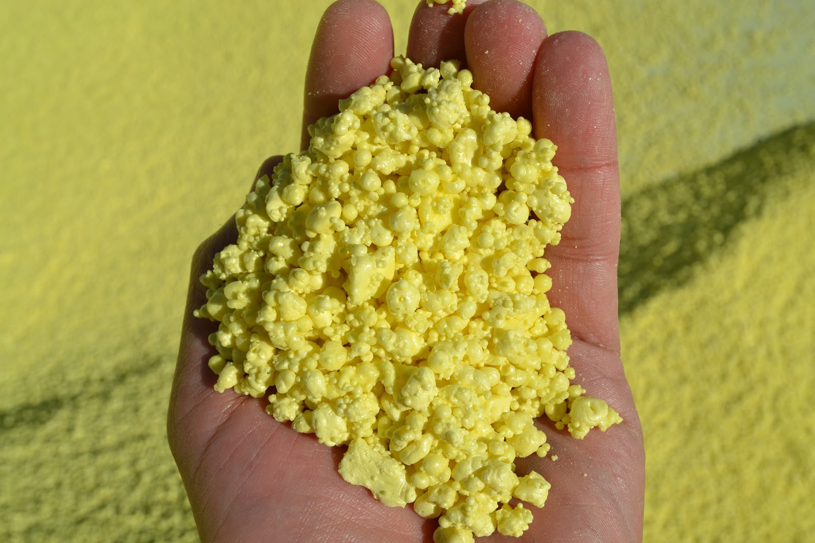 Managing Plant Nutrients Sulfur, an overlooked nutrient…Are you