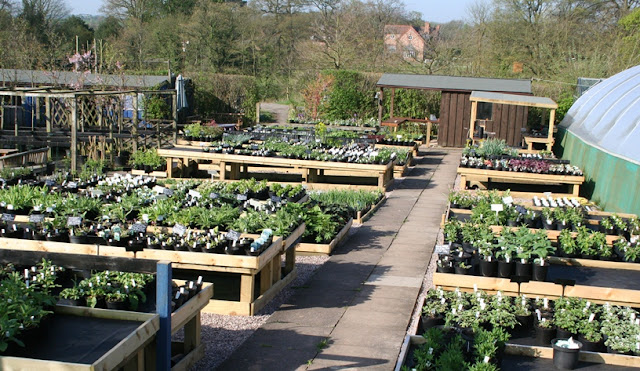 Top 50 isn’t bad, is it?