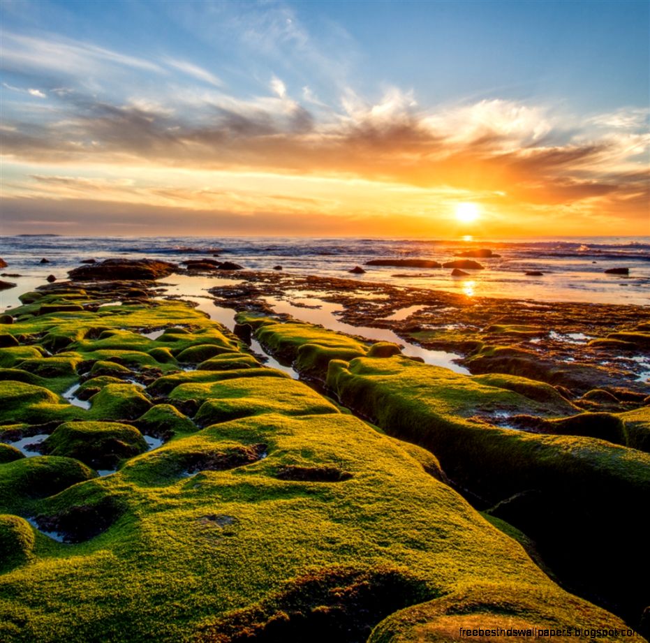 Pacific ocean green rocks iPad Air Wallpaper Download iPhone Pacific ocean green rocks iPad Air Wallpaper Download iPhone