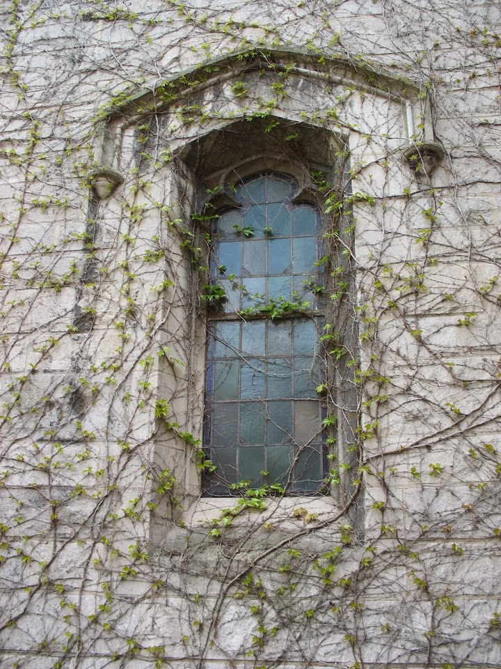 Writing Through Brambles