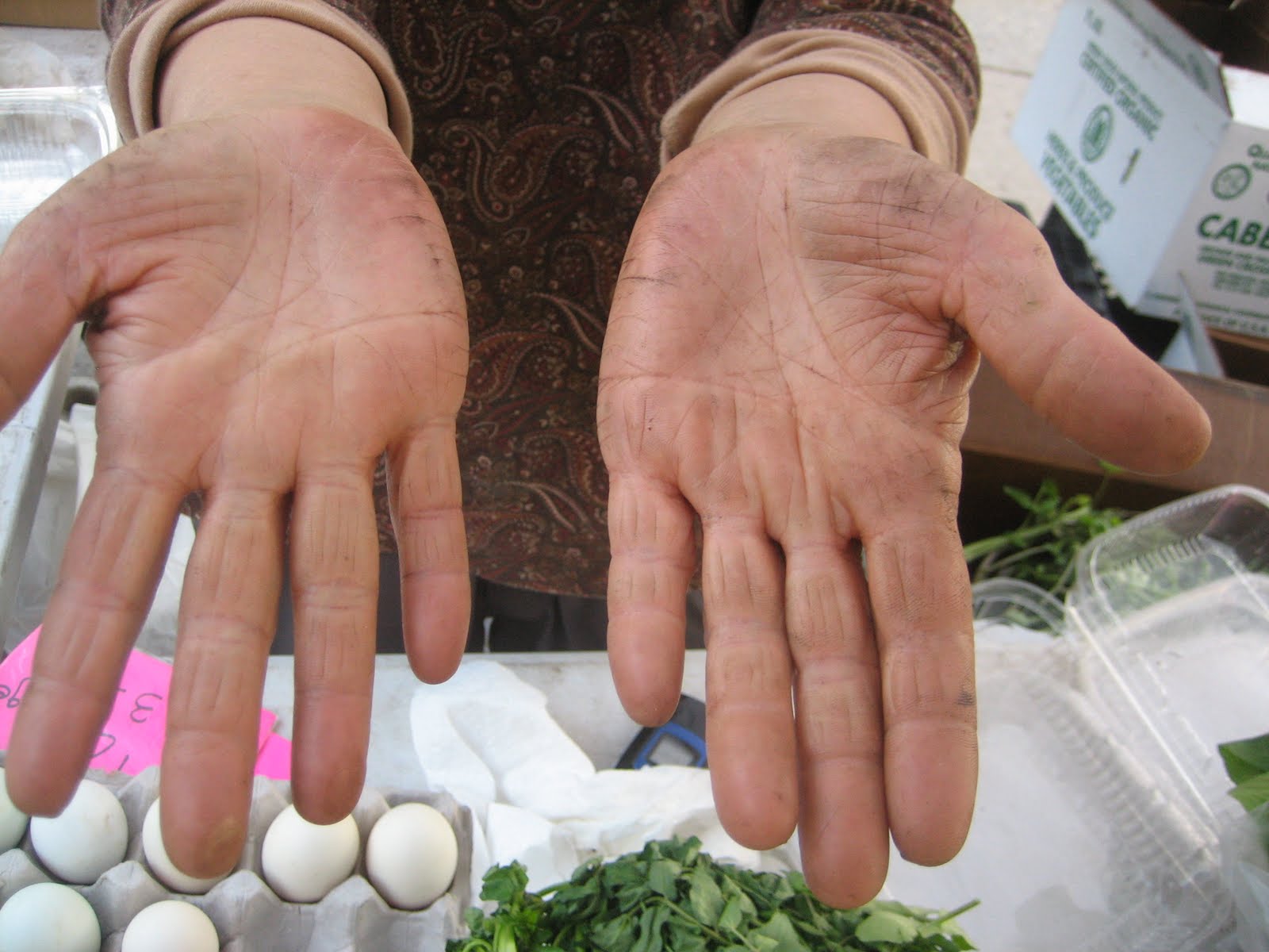 Have You Ever Picked A Carrot?: The Proof is In the Nails