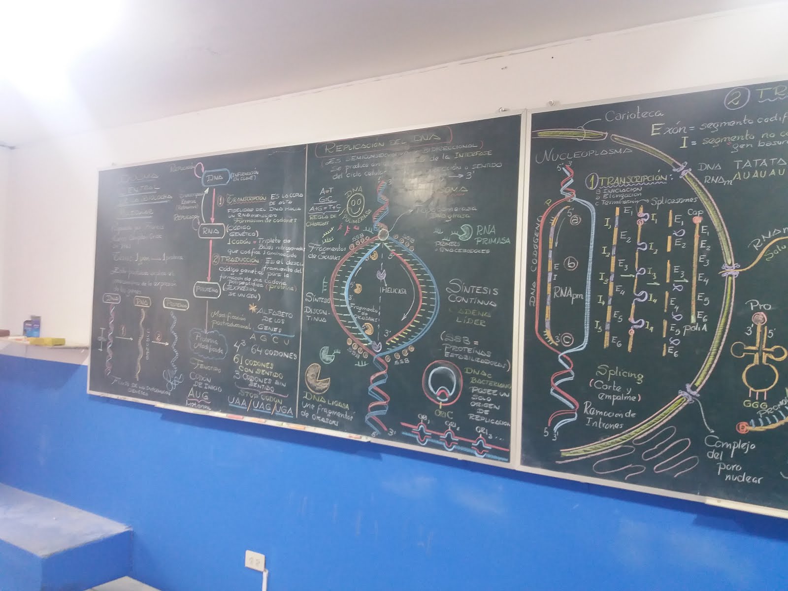 BIOLOGY : ACTIVE LEARNING by G. Charlie Castro M. Method.  Science - Art - Philosophie.