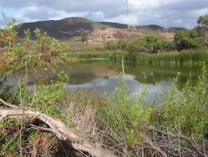 Barbara's Lake