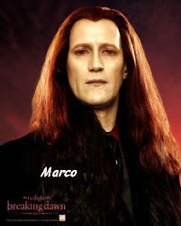 Marco Volturi