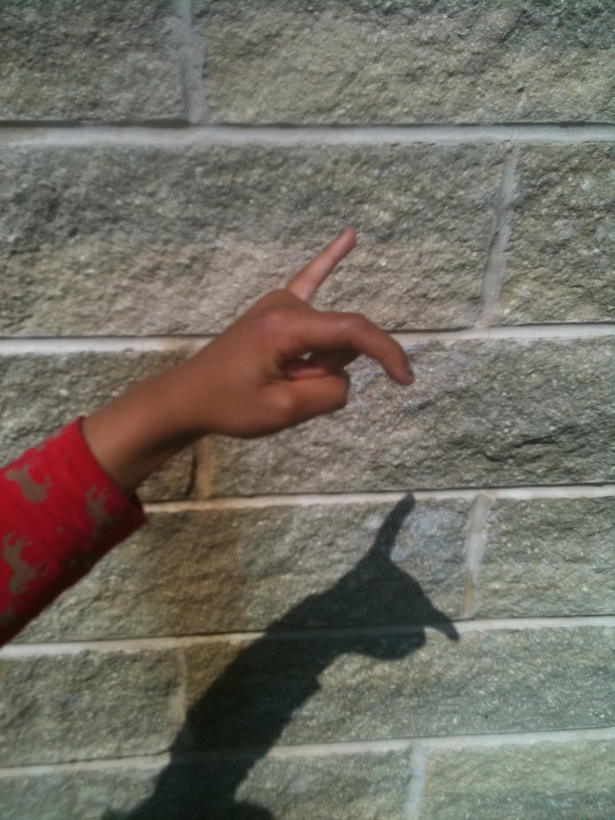 Homeschool Escapade Shadow Science