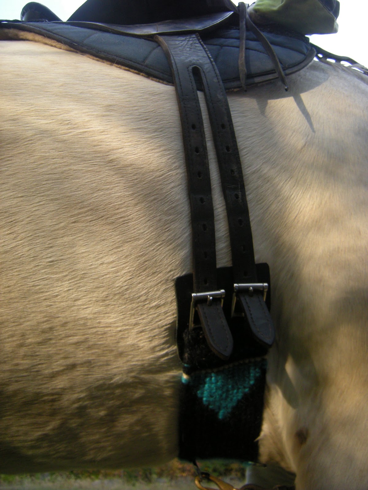 Trotting Down the Trail First Test Run Mohair Endurance Girth