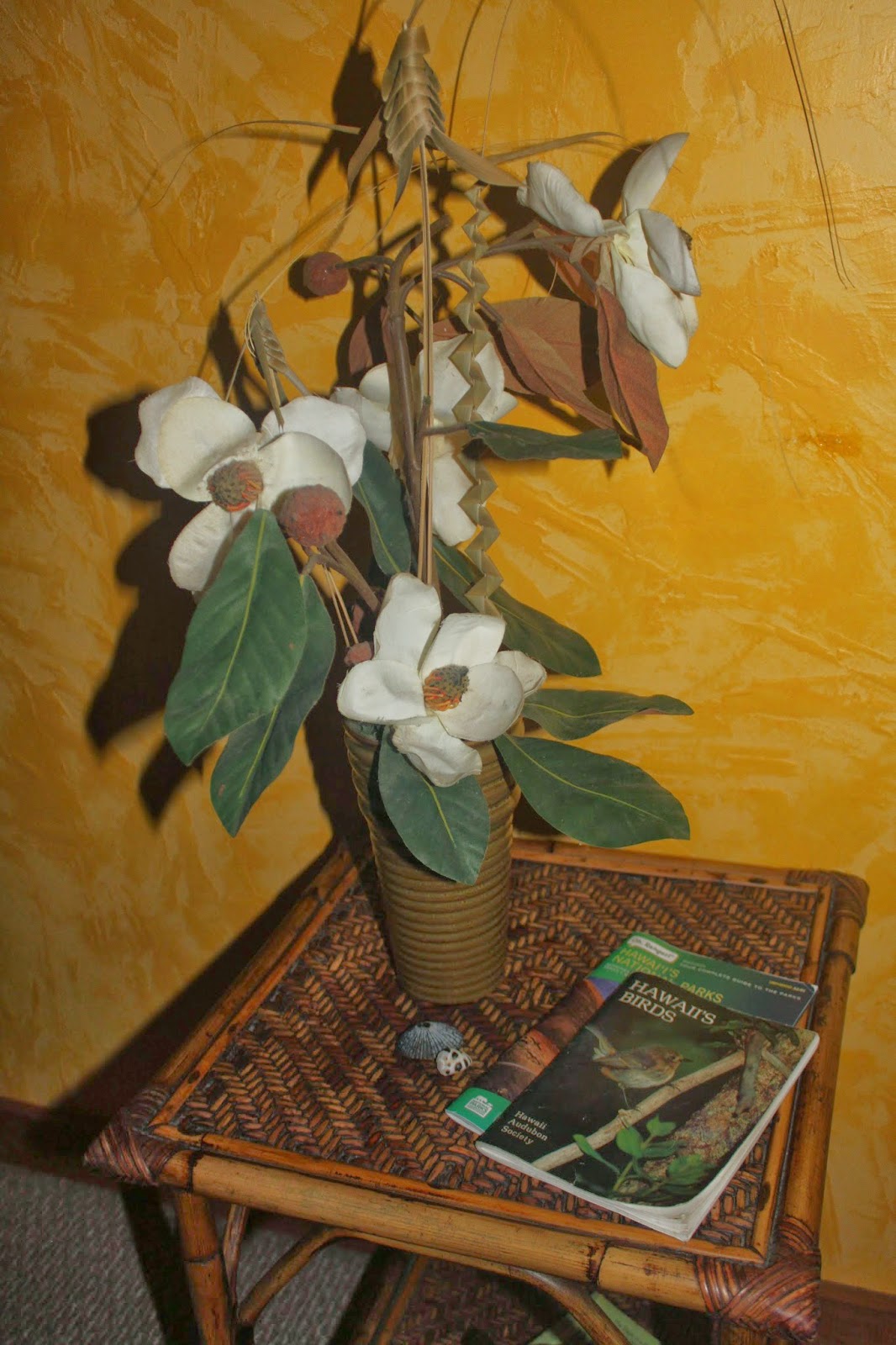 Ed And Colleen In Hawaii Again Lazy Lehua Cottage