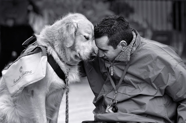 friendship, human and animal