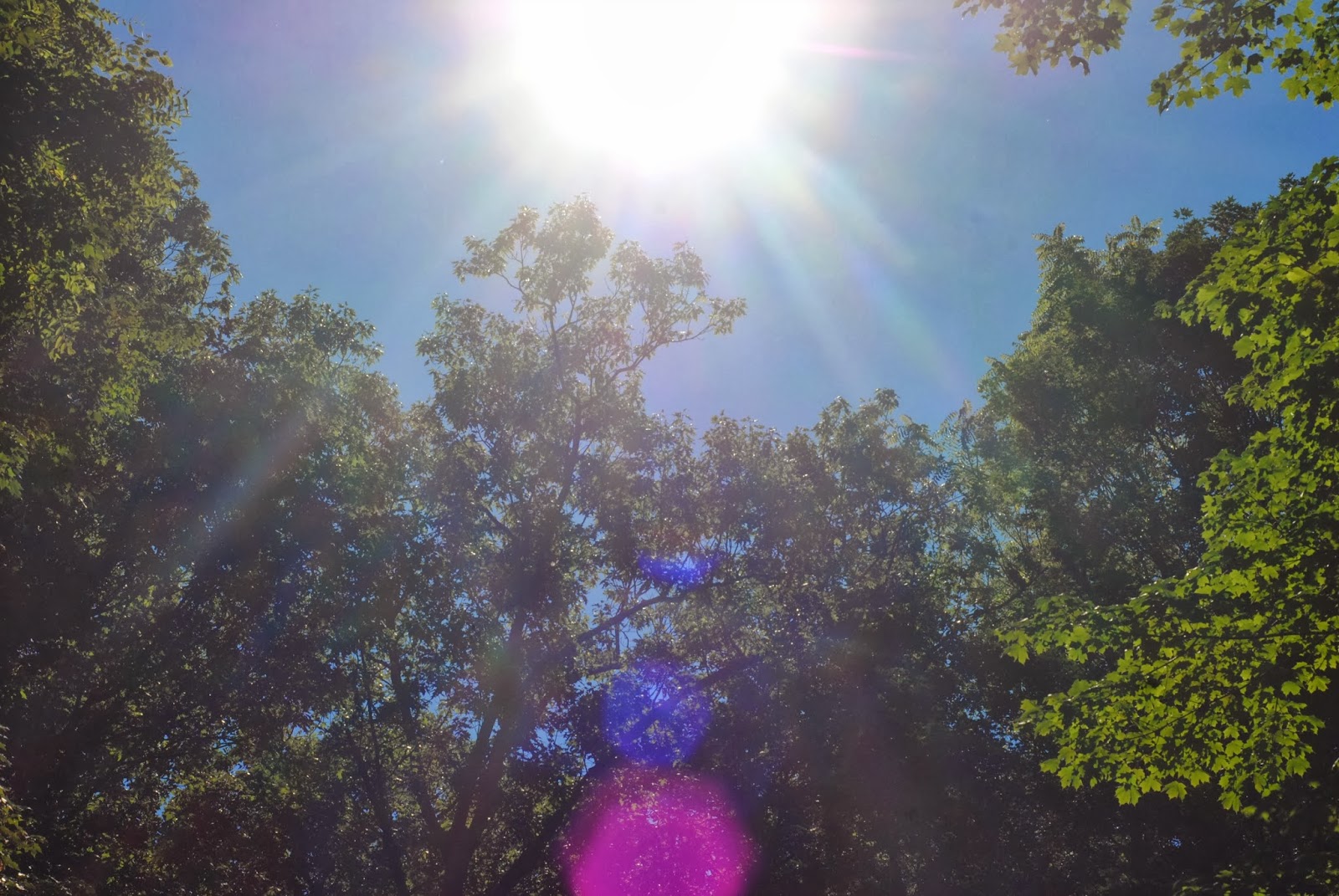 Lucky Number13 Mccormick S Creek State Park Indiana