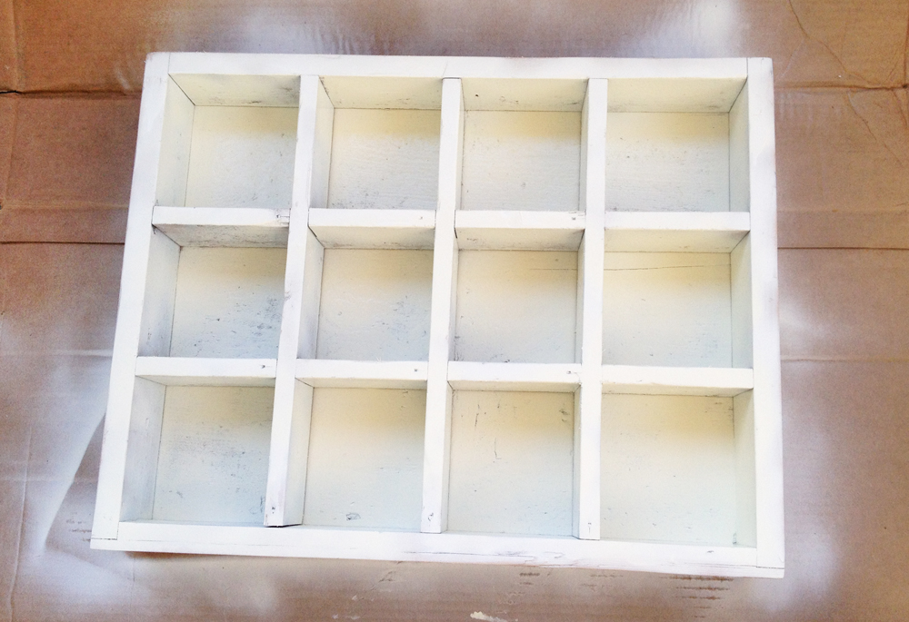 Zipper Teeth Displayorama