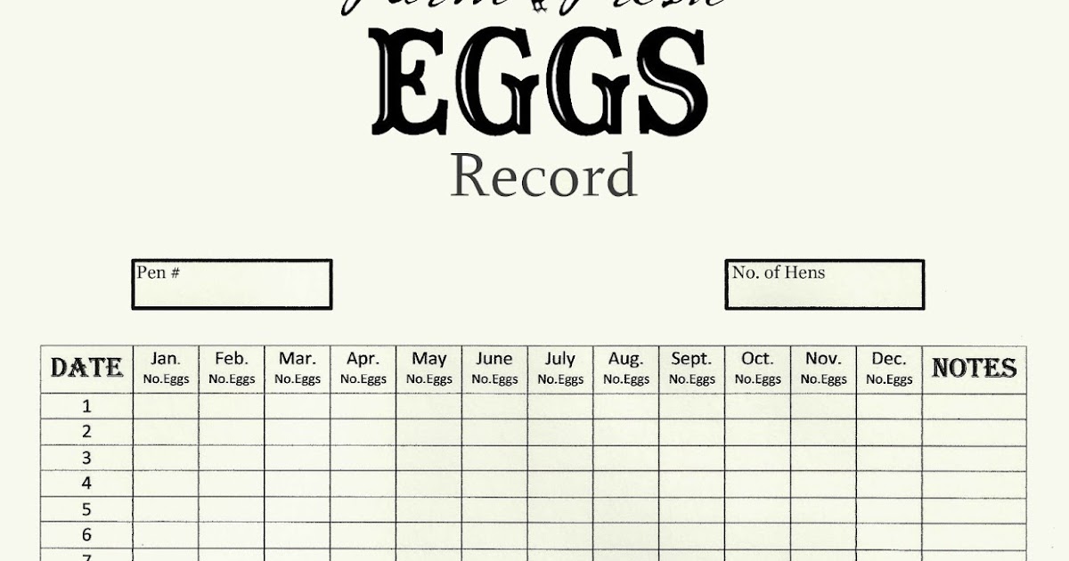 The Local Chicken Farmer Chicken Egg Production Chart