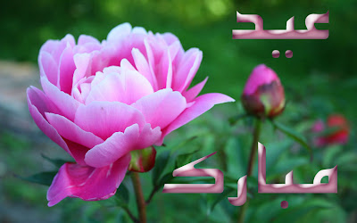 Pink Flowers Eid-ulAdha Mubarak 2012 Cards Wallpapers Urdu Text